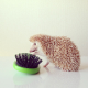 Illustration for article titled I Had No Clue Hedgehogs Were So Darn Cute
